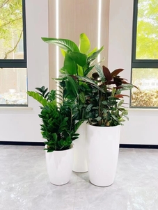 想享优质绿化养护？海曙服务好到飞起！><div class=